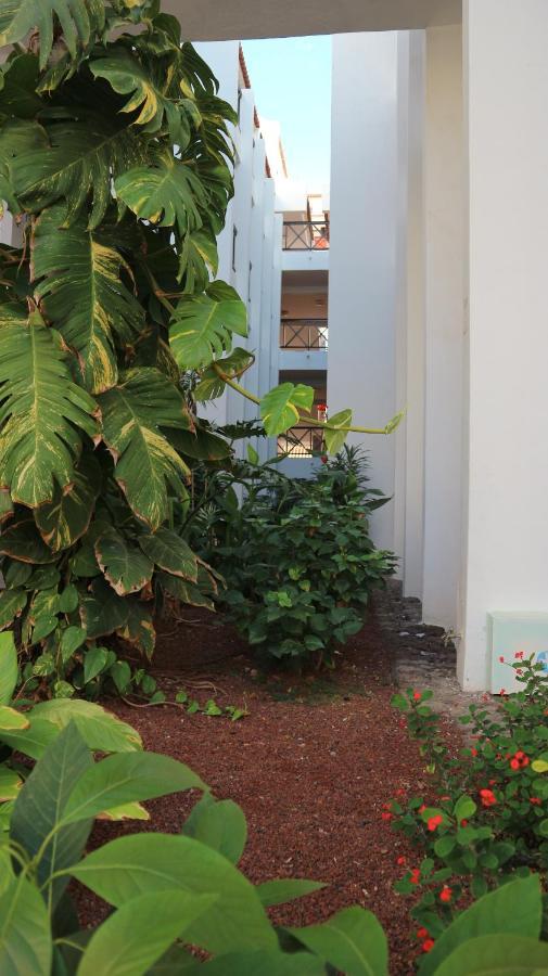 Apartamento En Tenerife Sur, Parque Santiago 2 Арона Екстериор снимка