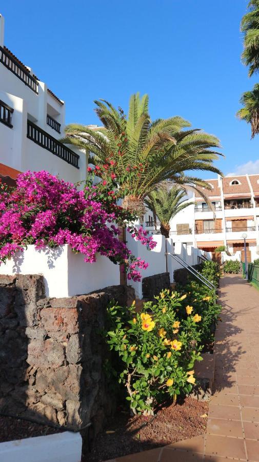 Apartamento En Tenerife Sur, Parque Santiago 2 Арона Екстериор снимка